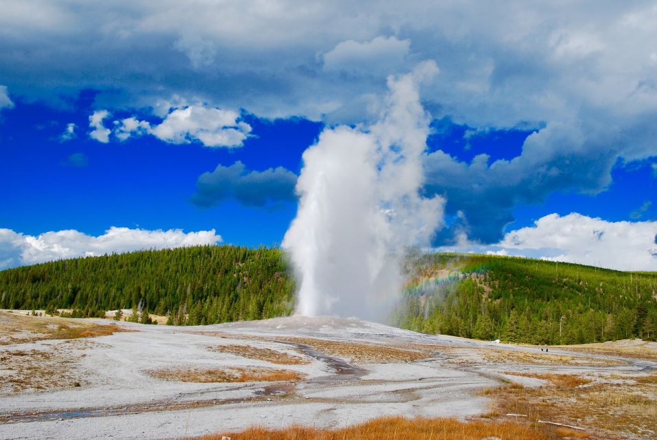 From Jackson: Yellowstone National Park Day Trip With Lunch - The Wonders of Old Faithful