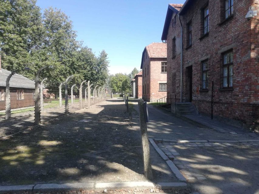 From Krakow: Auschwitz-Birkenau and Self-Guided Day Tour - Visitor Experience and Ratings