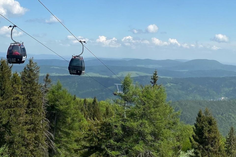 From Krakow: Krynica Zdrój & Mountain Tour With Rooftop Walk - Transportation Details