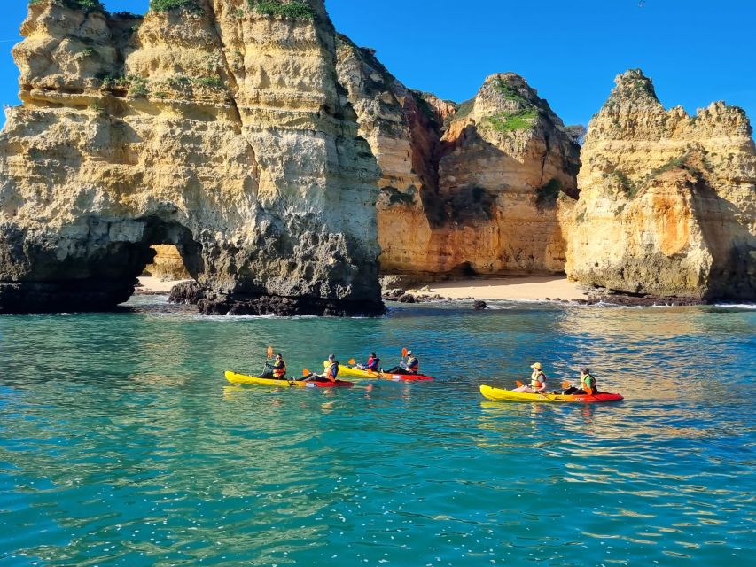 From Lagos: Kayak Experience in Ponta Da Piedade - Inclusions and Requirements