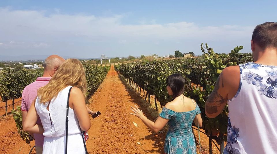 From Lagos: Private Algarve Wineries Tour With Tastings - Experience Highlights