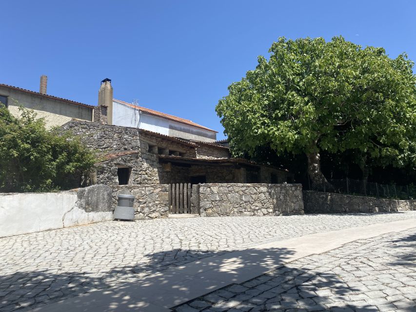 From Lisbon: Fatima Full-Day Private Tour - Chapel of the Apparitions