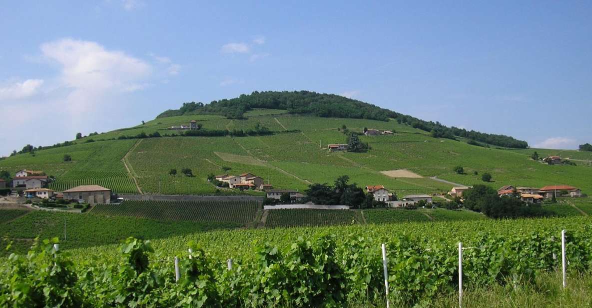 From Lyon: Beaujolais Region Wine Tour With Tastings - Winery Visit and Wine Tasting