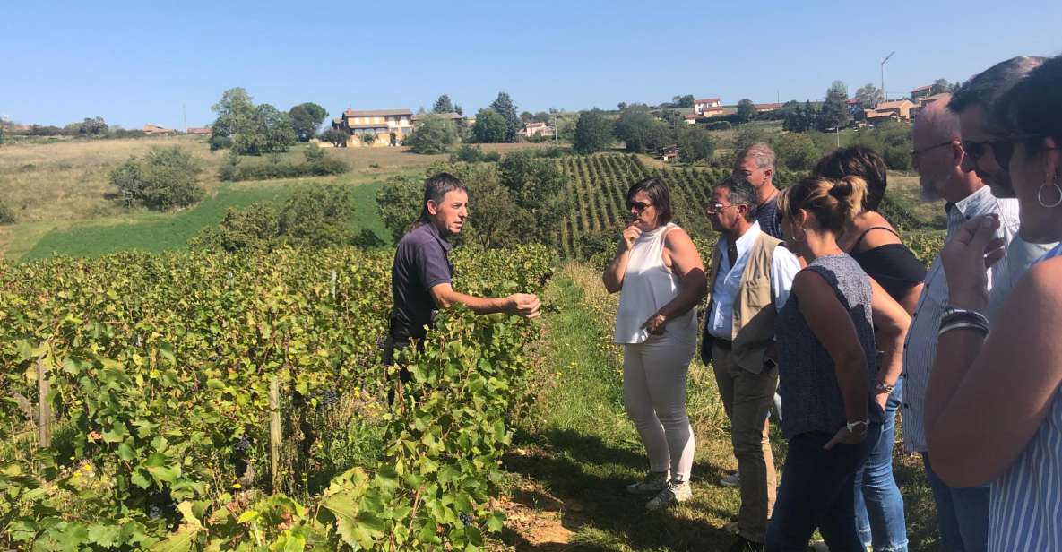 From Lyon: Beaujolais Wine Tasting Day Tour - Inclusions and Meeting Point