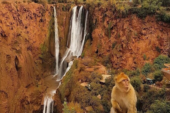 From Marrakech: Ouzoud Waterfalls Guided Hike and Boat Trip - Health and Safety Considerations