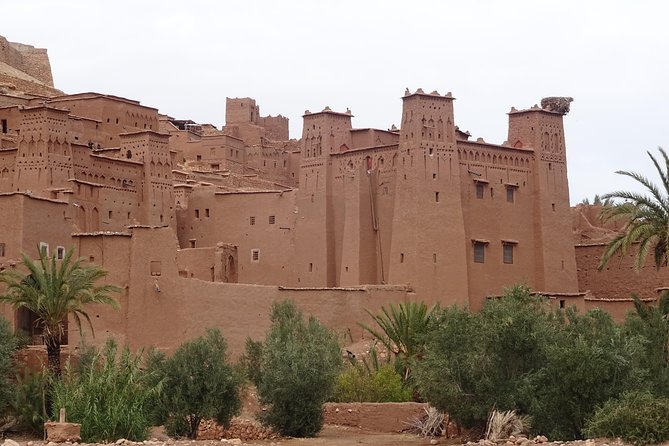 From Marrakech: Private Tour to Oasis and Trekking in the Desert of Erg Chigaga - Camel Safari Adventure