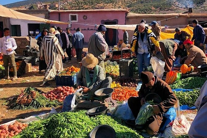 From Marrakesh: Atlas Mountains Tour With a Guide - Accessibility and Participation