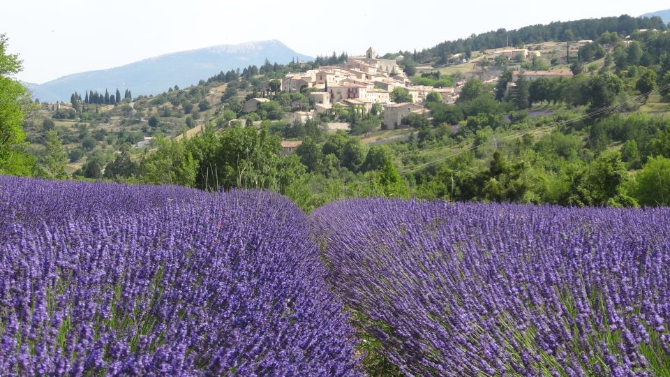 From Marseille: Lavender Full-Day Trip to Sault - Local Lavender Producer Tour