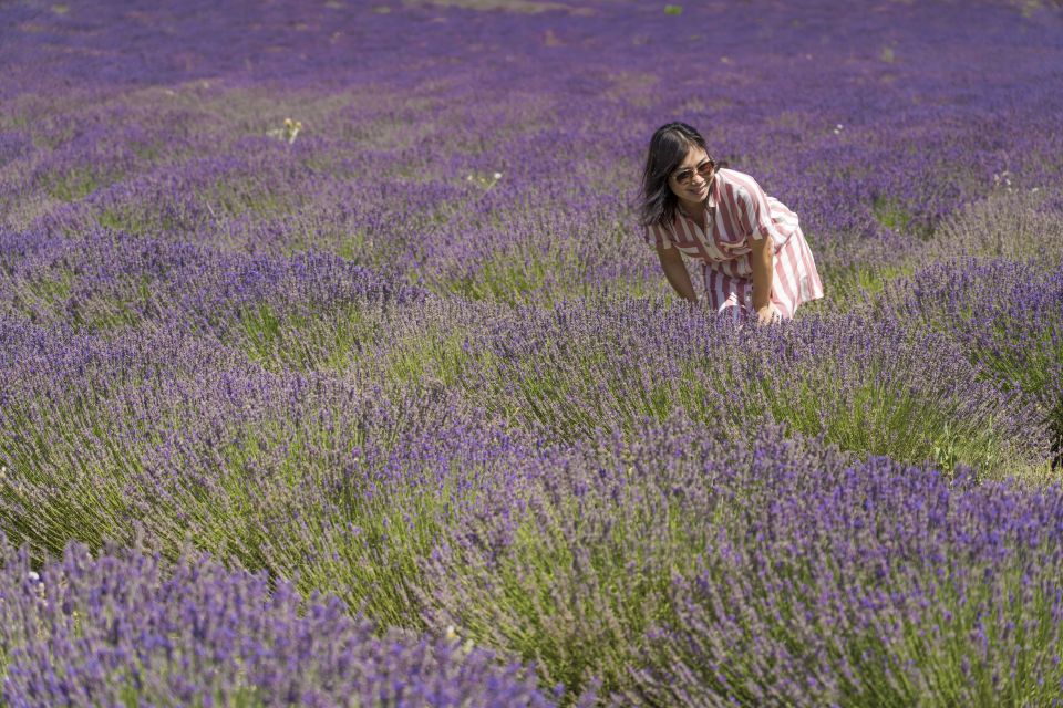 From Marseille: Lavender Full-Day Valensole - Inclusions and Exclusions