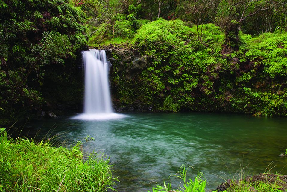 From Oahu: Maui Road to Hana Sightseeing Tour - Scenic Drive on the Hana Highway