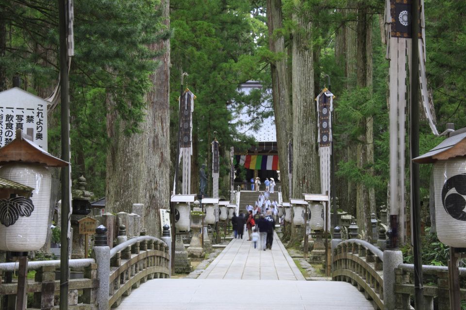 From Osaka: Mt. Koya Private Walking and Train Tour - Included Features