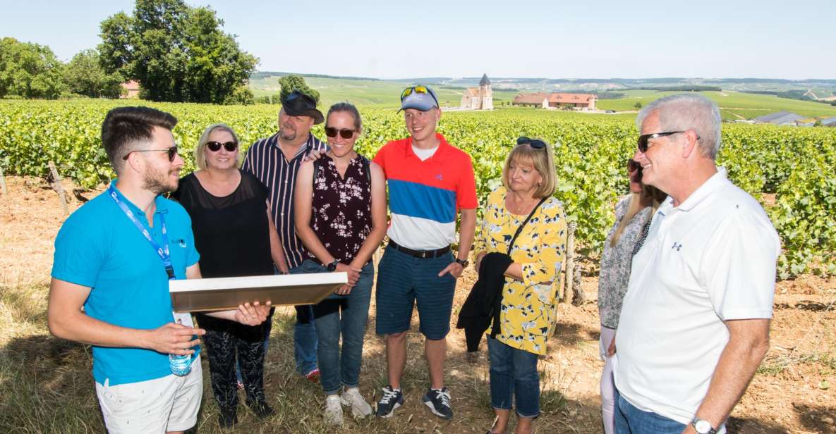 From Paris: Burgundy Region Winery Tour With Tastings - Domaine Jean-Marc Brocard