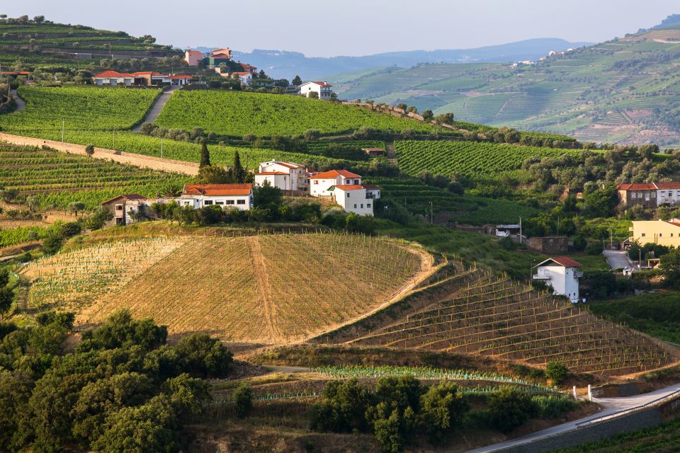 From Peso Da Regua: Douro Valley Tour - Transportation and Accessibility