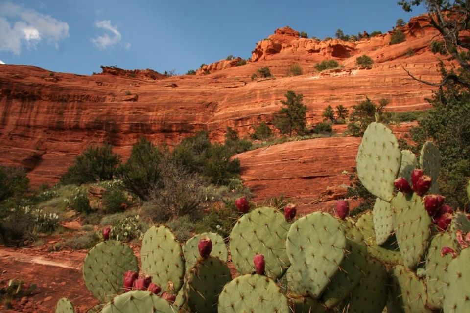 From Phoenix: Full-Day Sedona Small-Group Tour - Native American Ruins