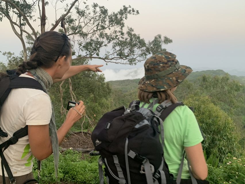 From Ponta Do Sol: Full-Day Nature Hike With a Guide - Group Size and Languages