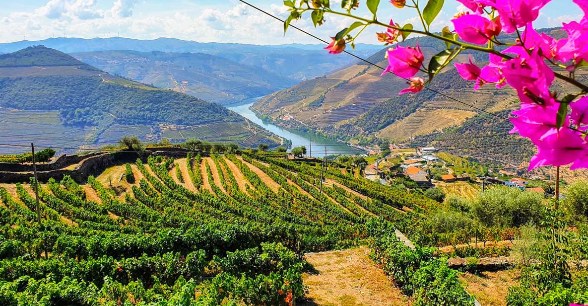 From Porto: Douro Valley Small Group Food and Wine Tour - Highlights