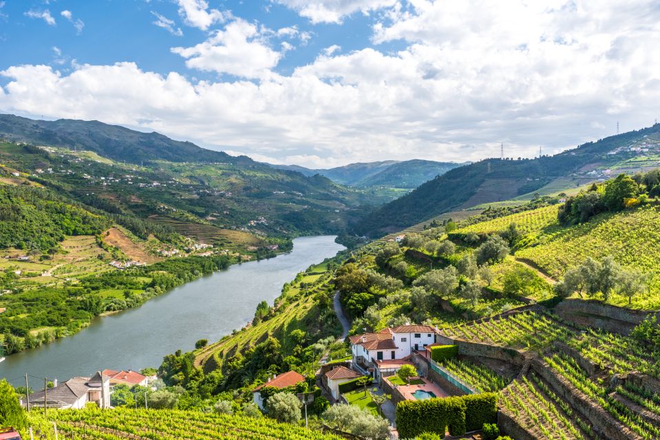 From Porto: Full-Day Douro Historical Tour - Highlights of the Tour