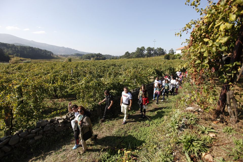 From Porto: Monção Wineries Tour With Wine Tastings - Quinta De Soalheiro