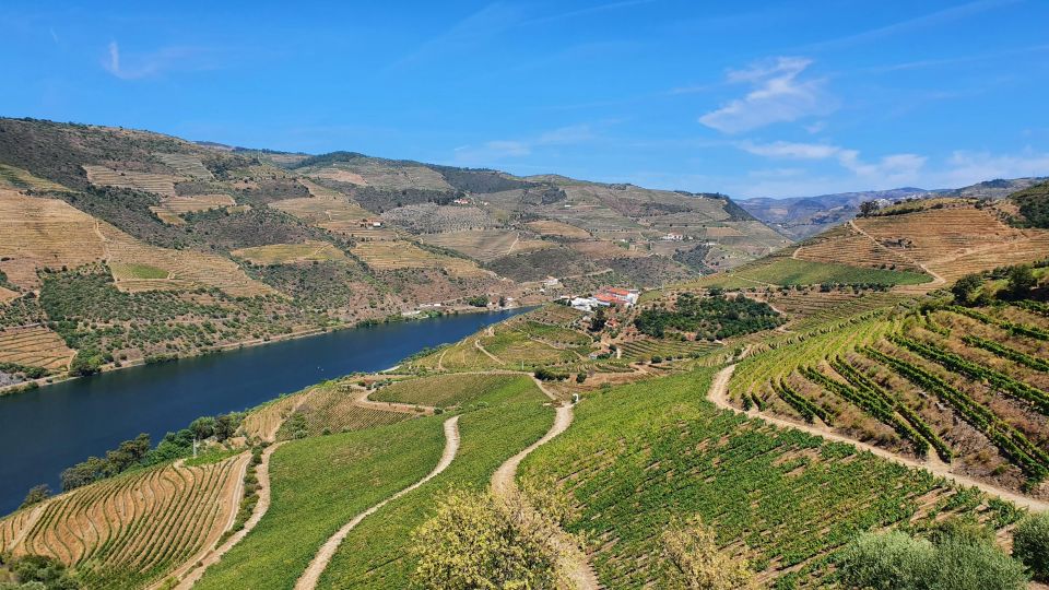 From Porto Private Wine Tour With 2 Tastings, Boat and Lunch - Regional Lunch Delights