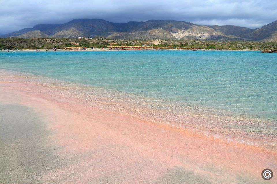 From Rethymno: Day Trip to Elafonisi Island Pink Sand Beach - Itinerary and Highlights