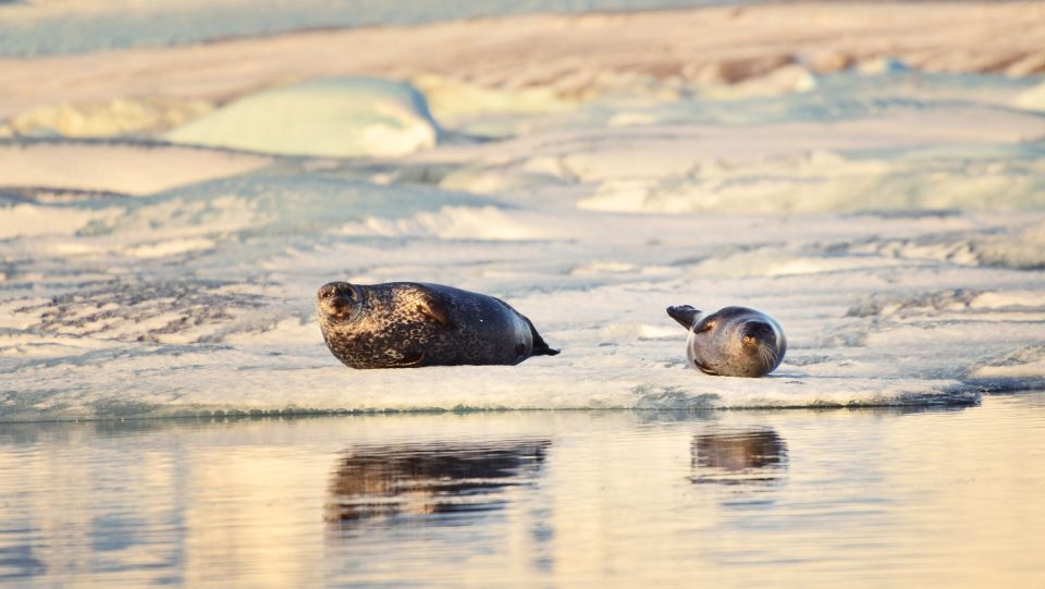 From Reykjavik: Glacier Lagoon Small Group Tour - Inclusions and Whats Covered