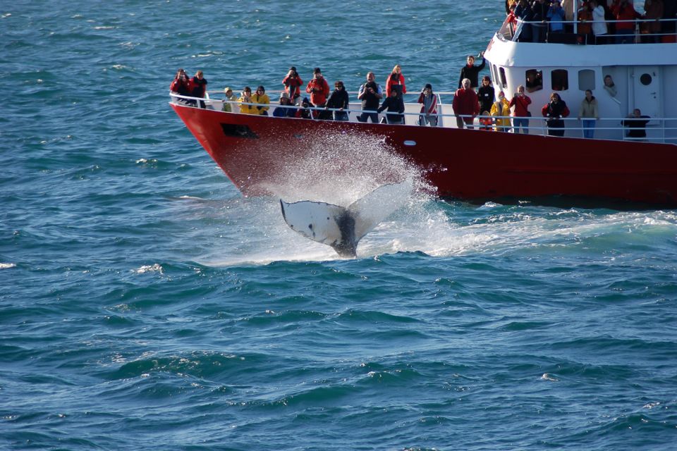 From Reykjavik: Golden Circle and Whale Watching Tour - Inclusions