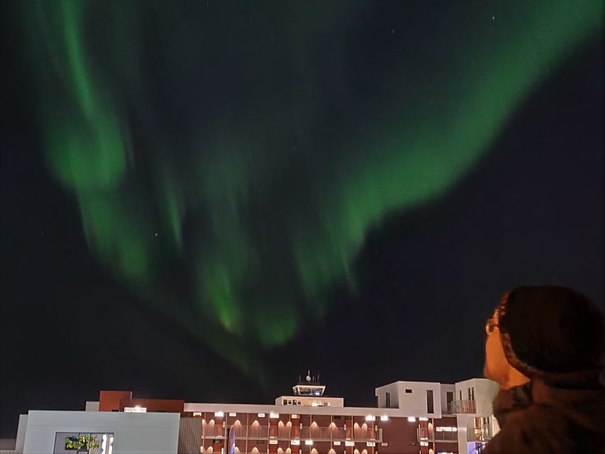 From Reykjavik: Spot the Northern Lights With Snacks & Drink - Highlights