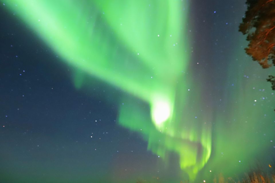 From Rovaniemi: Aurora Borealis Trip in Lapland Lakeside - Northern Lights Viewing Opportunities