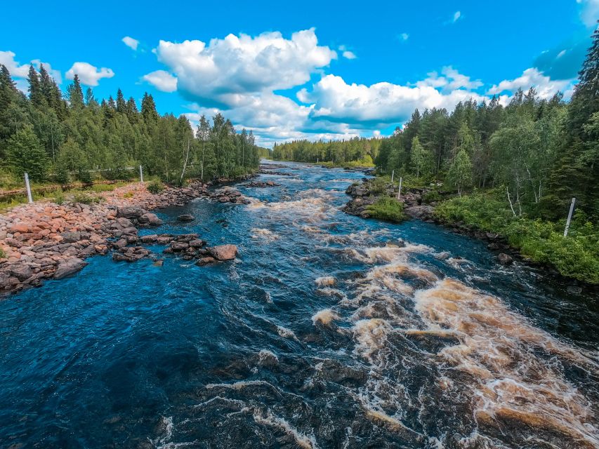 From Rovaniemi: Vikaköngas Forest Hiking Tour With BBQ - Tour Inclusions