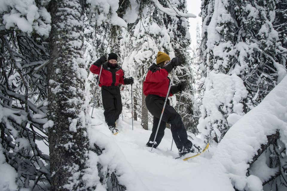 From Ruka: Snowshoeing in Oulanka National Park - Whats Included