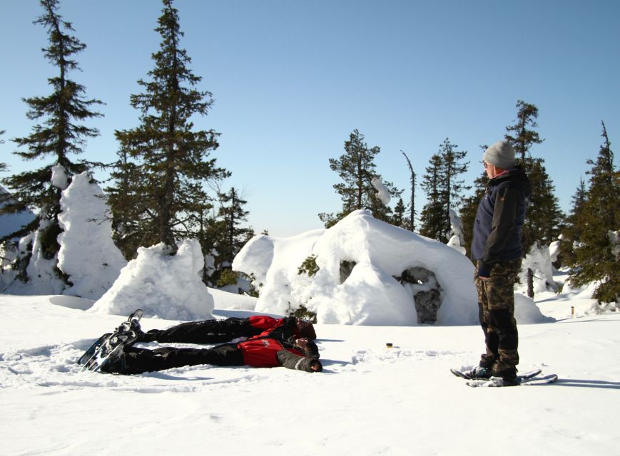 From Ruka: Snowshoeing in Riisitunturi National Park - Panoramic Views Atop