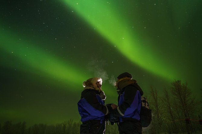 From Saariselkä: Northern Lights Tour to Lake Inari, Including Dinner - Dinner and Refreshments