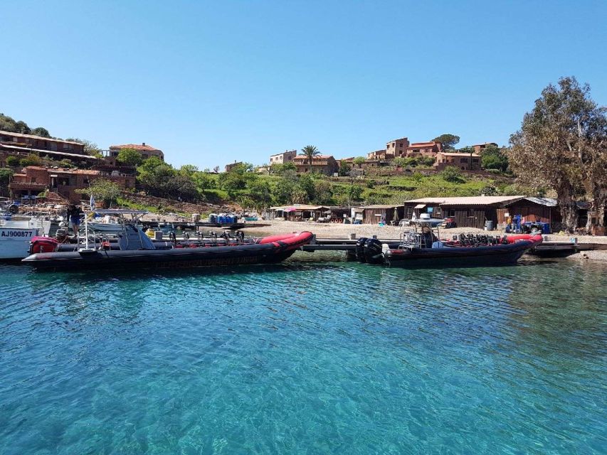 From Sagone/Cargèse: Capo Rosso, Piana & Scandola Boat Tour - Exploring Scandola Nature Reserve