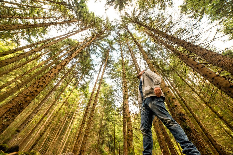 From San Francisco: Muir Woods Guided Bus Tour - Departure Information