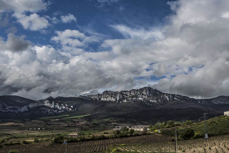 From San Sebastian/Bilbao/Vitoria: La Rioja Wineries Tour - Inclusions