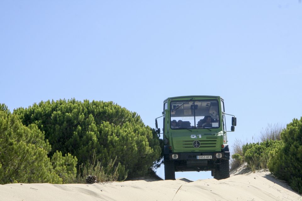 From Seville: Doñana Natural Park, El Rocío and Matalascañas - Exploring Doñana National Park