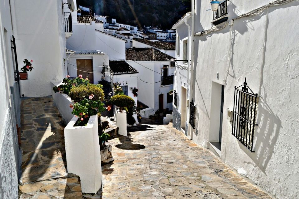 From Seville: White Villages Tour - Exploring Setenil De Las Bodegas