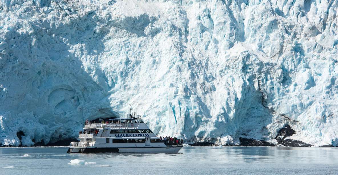 From Seward: Kenai Fjords National Park Cruise With Lunch - Wildlife Sightings and Opportunities