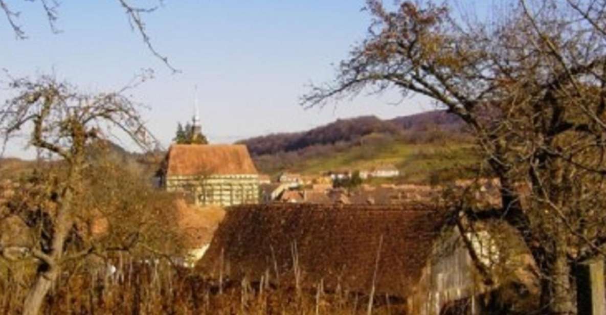 From Sighisoara: Half-Day Tour to Malancrav & Biertan - Tour Duration and Pricing