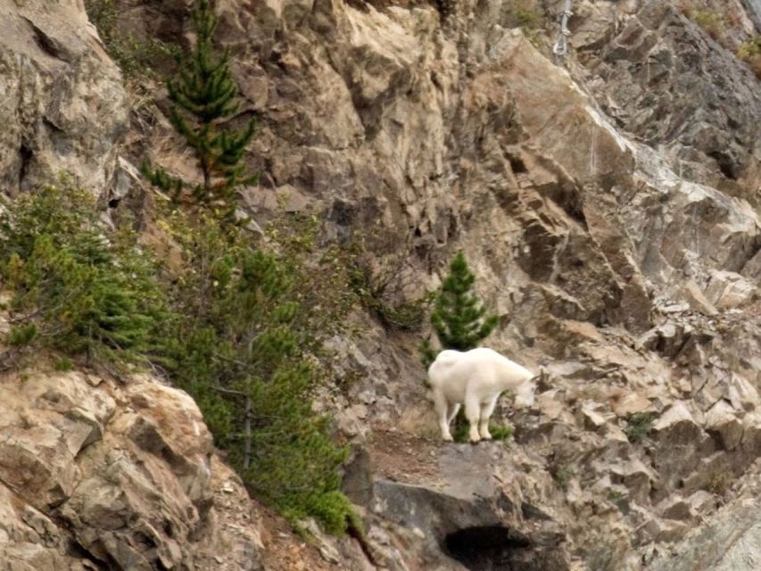 From Skagway: White Pass and Yukon Suspension Bridge Tour - Inclusions