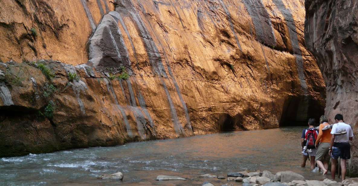 From Springdale: the Zion Narrows Hike With Lunch - Inclusions