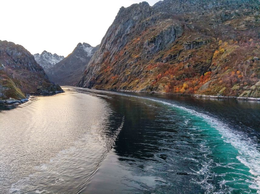 From Svolvær: Lofoten Islands Silent Trollfjord Cruise - Vessel Description