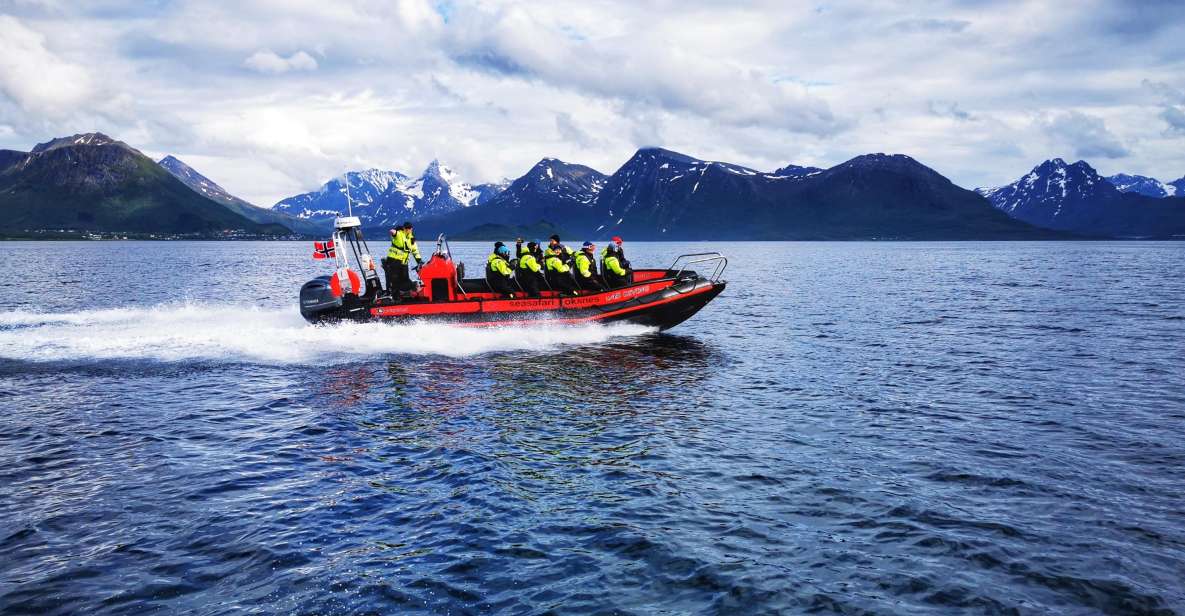 From Svolvær: Tour by RIB Boat and Hurtigruten/Havila Ship - Departing Svolvær and Traveling to Stokmarknes