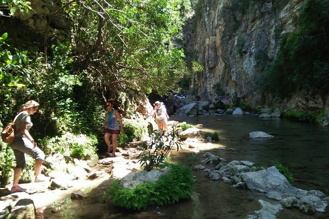 From Tangier : Day Trip to Chefchaouen and Akchour the Waterfalls - Natural Pools and Gods Bridge