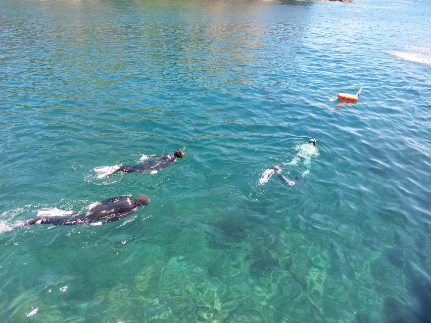 From Terceira Island: Ilhéu Das Cabras Snorkeling Boat Tour - Important Notes