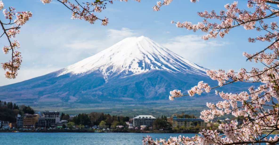 From Tokyo: 10-hour Mount Fuji Private Customizable Tour - Inclusions and Additional Fees