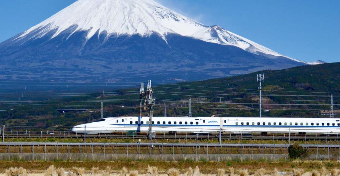 From Tokyo: Mt. Fuji & Hakone Tour W/ Return by Bullet Train - Inclusions and Exclusions