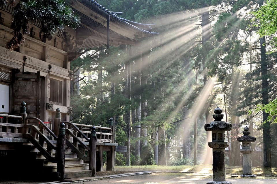 From Tokyo: Private Nikko World Heritage Sights Day Trip - Highlights and Experiences