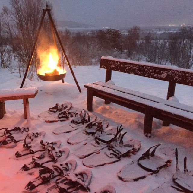 From Tromsø: Guided Husky Snowshoe Hike and Husky Camp Visit - Husky Encounter and Exploration