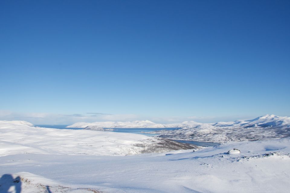 From Tromsø: Guided Snowshoe Hike With Cafe Visit - Snowshoe Gear Provided